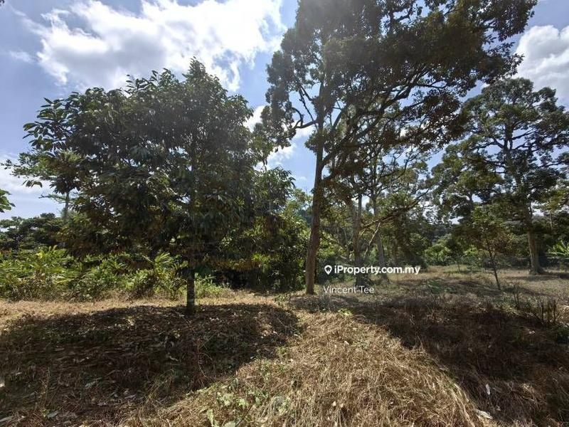 Agricultural Land for Sale in Bandar Baru Kuala Lipis, Kuala Lipis by Vincent Tee - iProperty.com.my