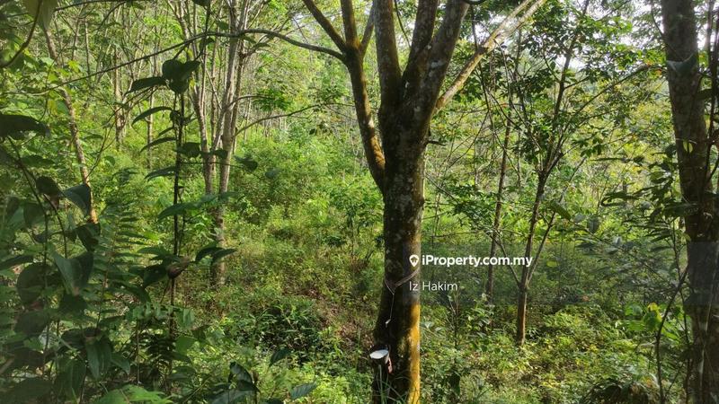 Tanah Pertanian untuk Dijual di hulu rening, Batang Kali oleh Iz Hakim - iProperty.com.my