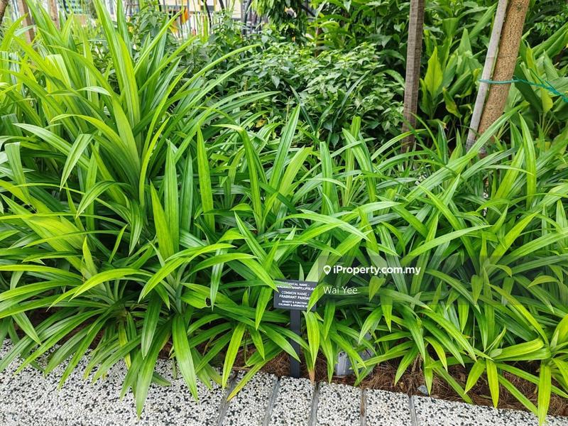 Service Residence for Sale in Sunway Belfield by Wai Yee - iProperty.com.my