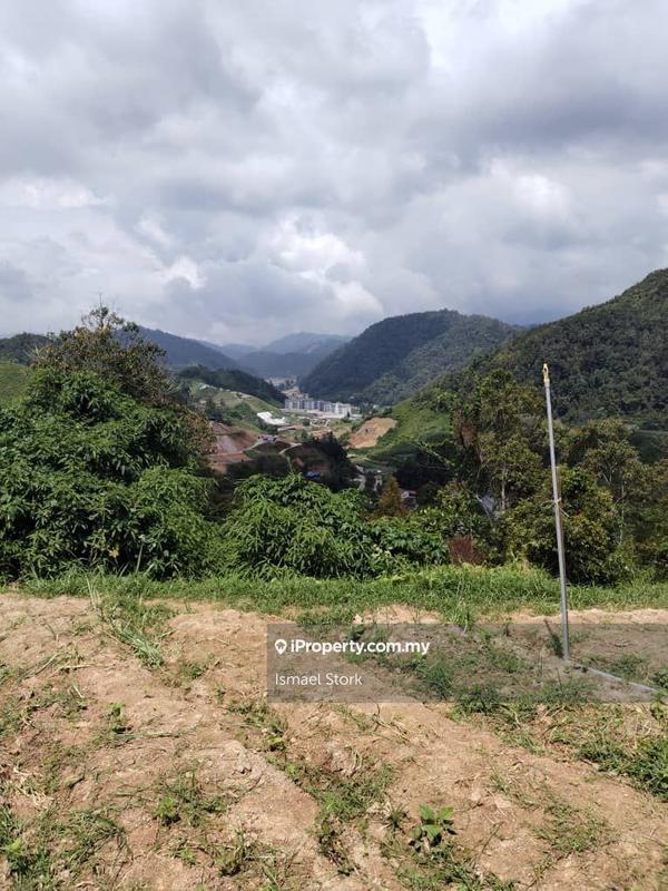 For Sale - Cameron Highland Land