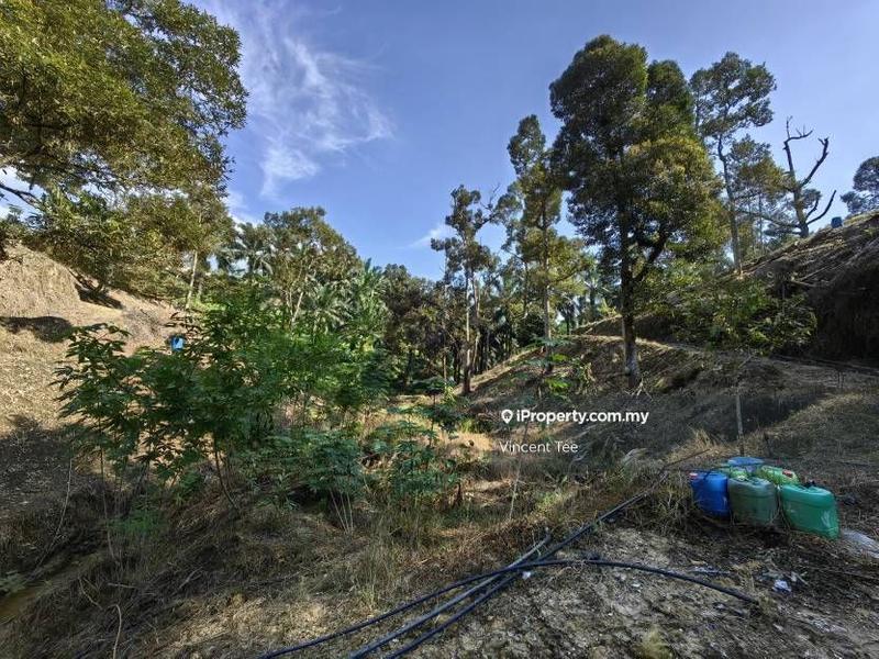 Tanah Pertanian untuk Dijual di Cheroh, Raub oleh Vincent Tee - iProperty.com.my