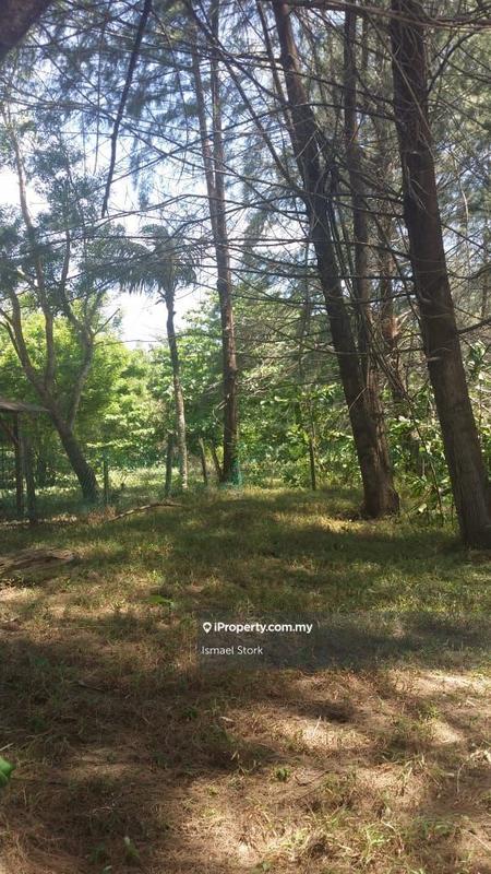 Agricultural Land for Sale in Kampung Sungai Ular, Sungai Karang by Ismael Stork - iProperty.com.my