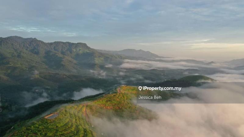 For Sale - Durian Plantation