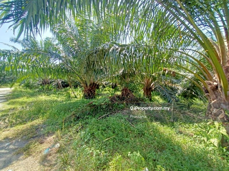 Residential Land for Sale in Padang Meha, Padang Serai by Prassana - iProperty.com.my