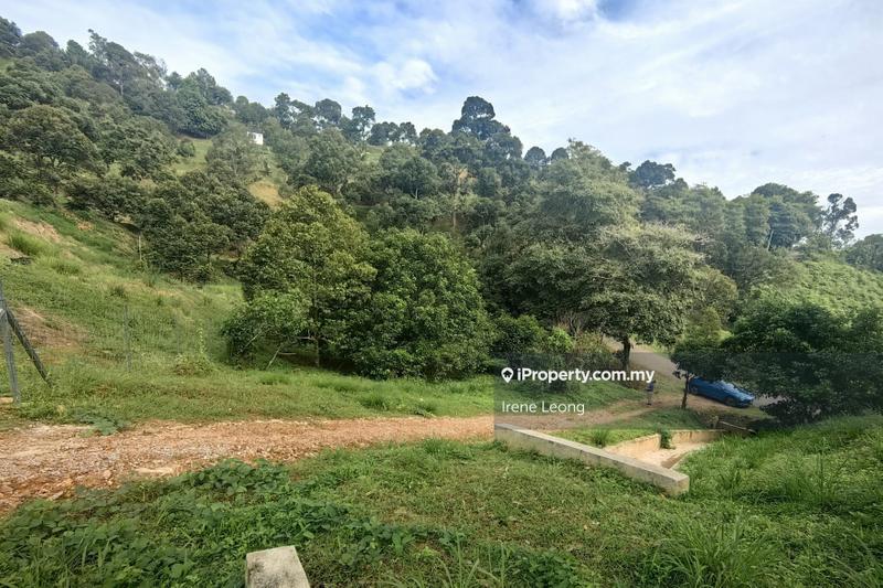 Agricultural Land for Sale in Karak, Pahang by Irene Leong - iProperty.com.my