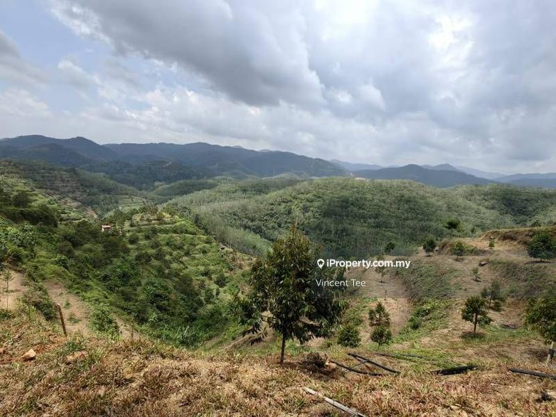 Agricultural Land for Sale in Pekan Baru Titi, Titi by Vincent Tee - iProperty.com.my