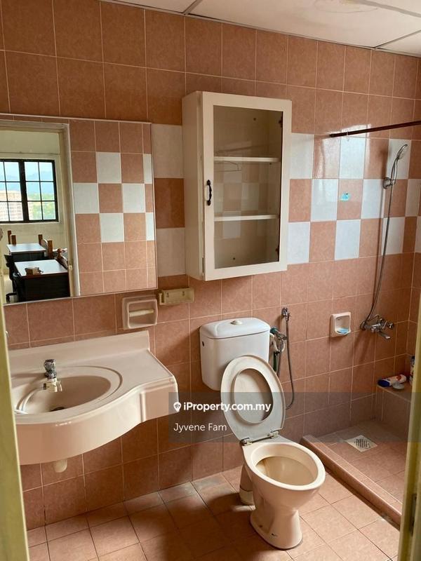 For Sale - Evergreen Park Scot Pine