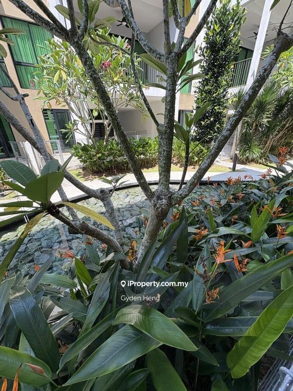 3-storey Terraced House for Sale in Leisure Farm, Gelang Patah by Gyden Heng - iProperty.com.my