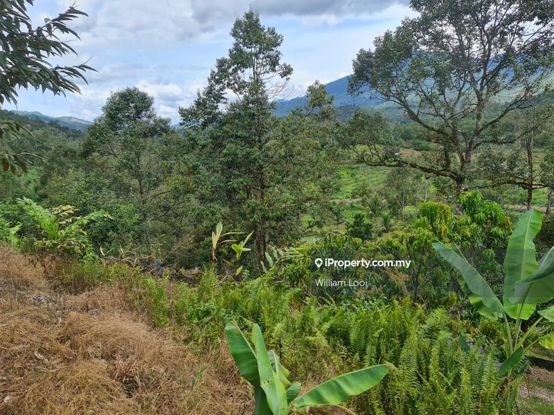 Agricultural Land for Sale in Kampung Tras, Raub by William Looi - iProperty.com.my