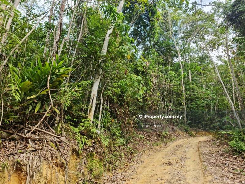 Agricultural Land for Sale in Karak, Pahang by Irene Leong - iProperty.com.my