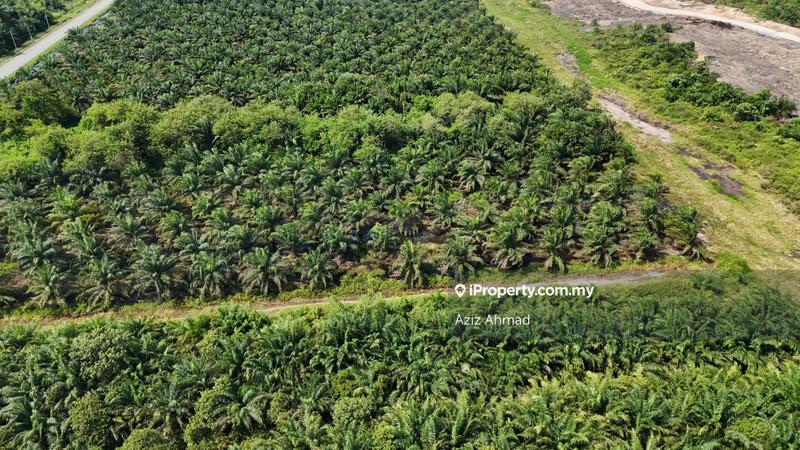 Agricultural Land for Sale in Kampung Jenjarom, Jenjarom by Aziz Ahmad - iProperty.com.my
