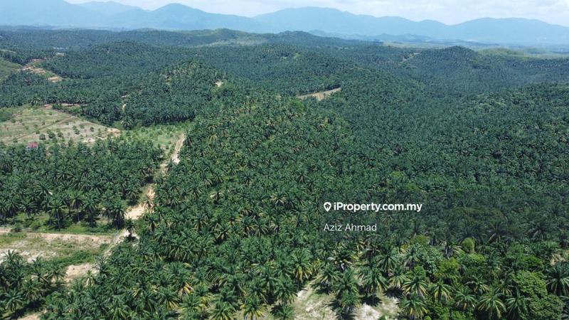 Agricultural Land for Sale in Rembau, Rembau by Aziz Ahmad - iProperty.com.my