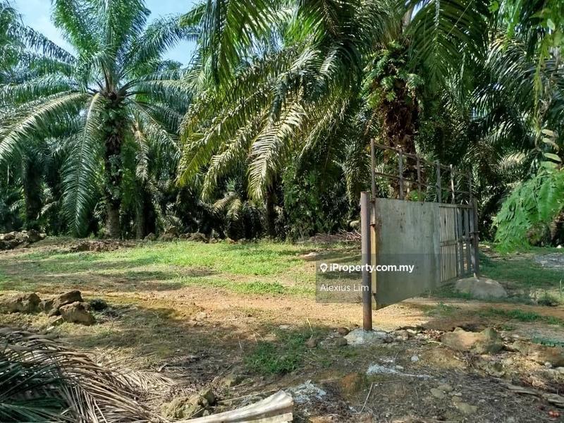 For Sale - 2pcs of 4 Acres Agricultural Land(Road Side) @ Desa Makmur, Mukim Kota Tinggi