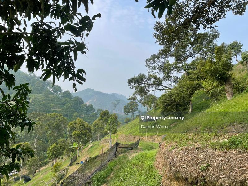 Tanah Pertanian untuk Dijual di Sungai Chetang, Raub oleh Damon Wong - iProperty.com.my