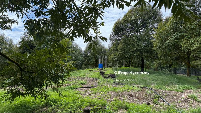 Agricultural Land for Sale in Cinta Manis, Karak by Damon Wong - iProperty.com.my