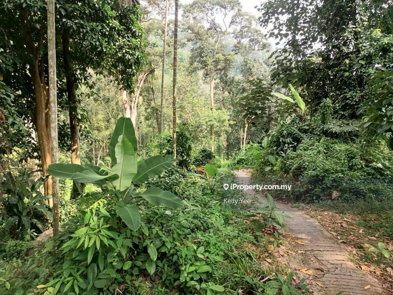Agricultural Land for Sale in Bukit Mertajam Hill, Bukit Mertajam by Kelly Yee - iProperty.com.my