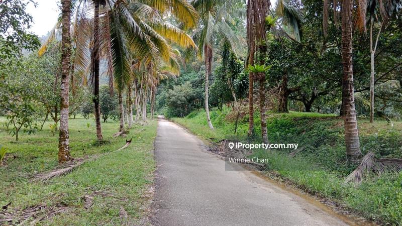 Agricultural Land for Sale in Tapah Perak 550 Acres Freehold Agriculture Land, Tapah by Winnie Chan - iProperty.com.my