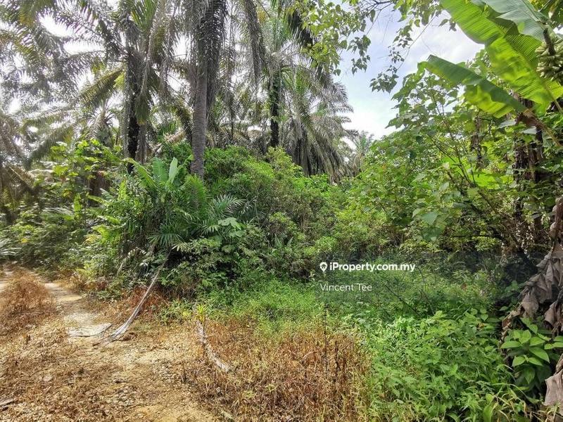 Tanah Kediaman untuk Dijual di Bidor, Perak oleh Vincent Tee - iProperty.com.my