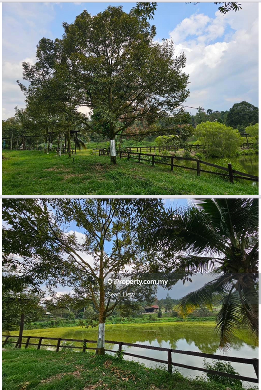 Agricultural Land for Sale in Hulu Langat, Selangor by Sean Liew - iProperty.com.my