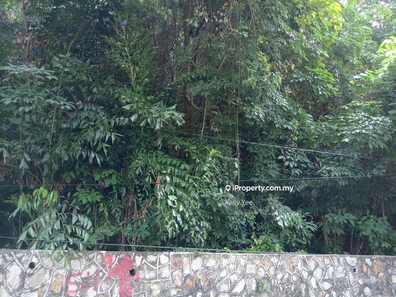 For Sale - Agriculture Land @ Teluk Tempoyak, Batu Maung for Sale