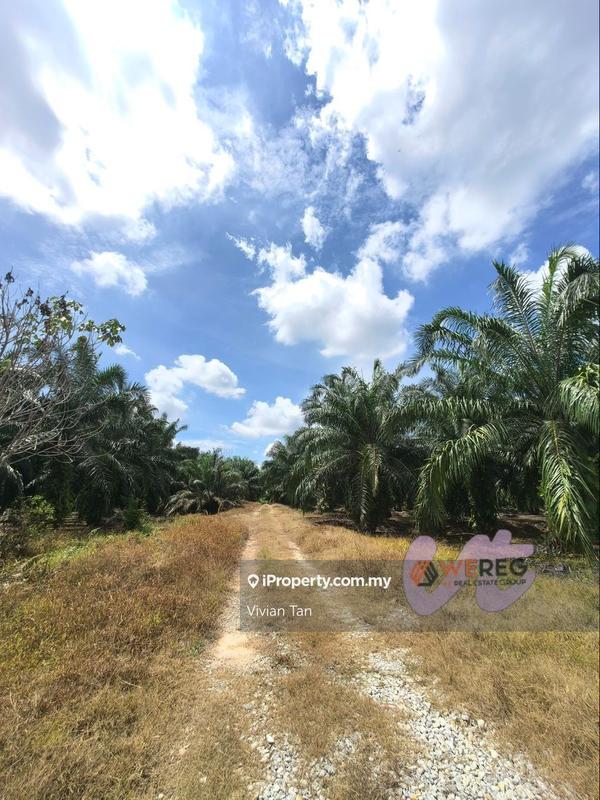 Agricultural Land for Sale in Kampung Sijangkang, Telok Panglima Garang by Vivian Tan - iProperty.com.my