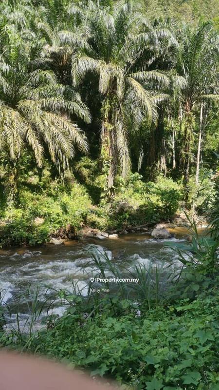 Agricultural Land for Sale in Kampung Kenang, Sungai Siput by Kelly Yee - iProperty.com.my
