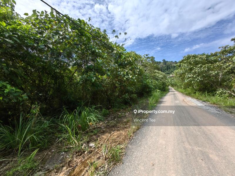 For Sale - 9.3 Acres Freehold Agriculture Land Kerambit Kuala Lipis