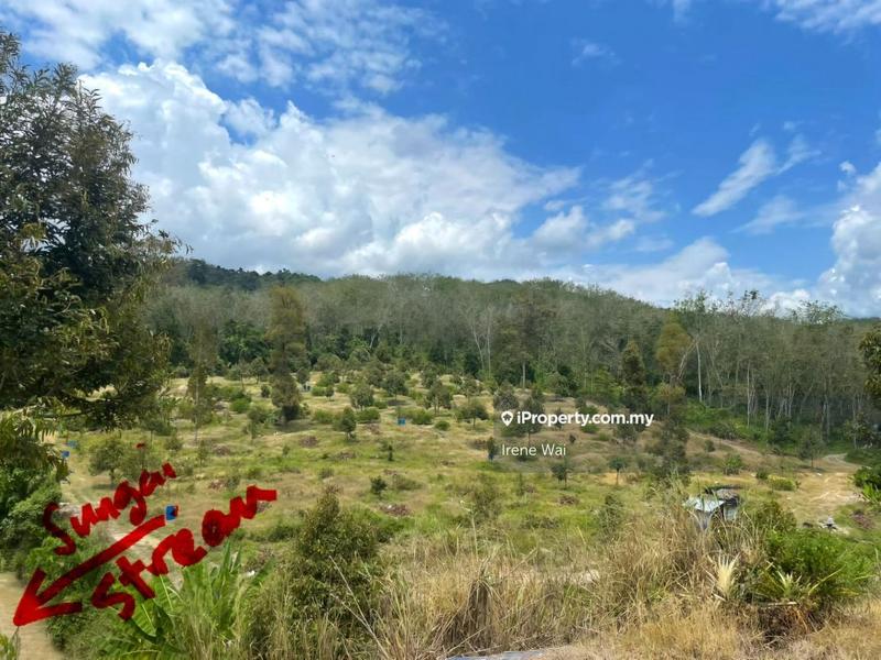 For Sale - Ayer Kala Lenggong Perak