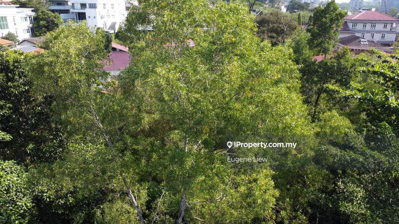 Banglo Tanah untuk Dijual di Bukit Damansara, Damansara Heights oleh Eugene Liew - iProperty.com.my