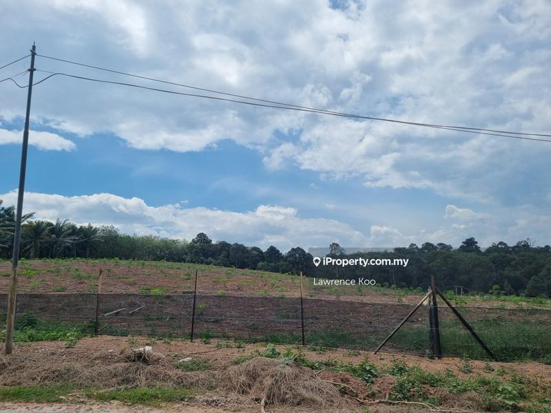 Agricultural Land for Sale in Simpang Gading, Durian Tunggal by Lawrence Koo - iProperty.com.my