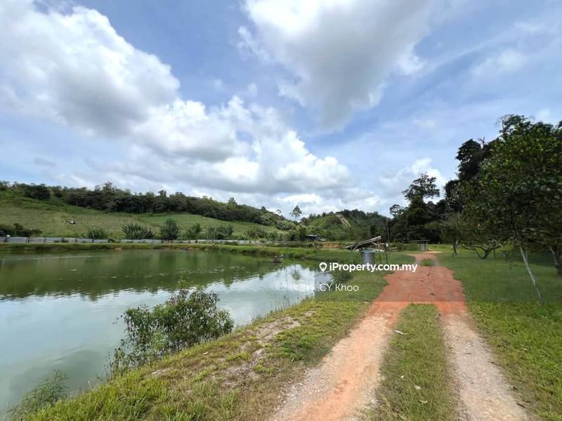 Agricultural Land for Sale in Kulai Sedenak Ayer Bemban 81000 Kelapa Sawit, Kulai by CY Khoo - iProperty.com.my