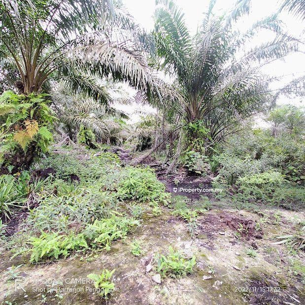 For Sale - Parit Haji Hamid Ayer Hitam