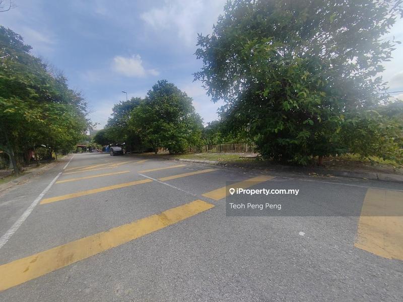 For Rent - Agriculture land for rent