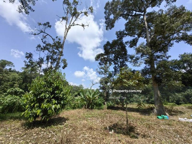 Agricultural Land for Sale in Bandar Baru Kuala Lipis, Kuala Lipis by Vincent Tee - iProperty.com.my