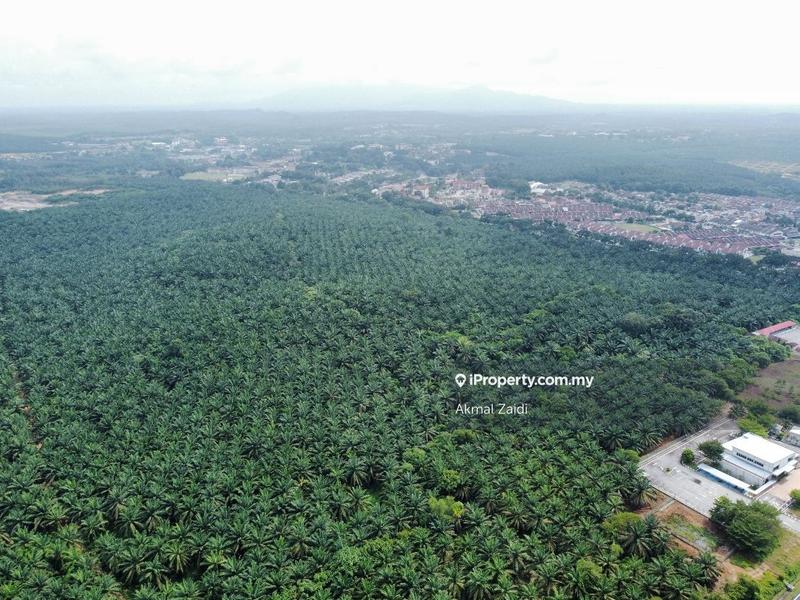 Agricultural Land for Sale in Melaka City, Melaka by Akmal Zaidi - iProperty.com.my