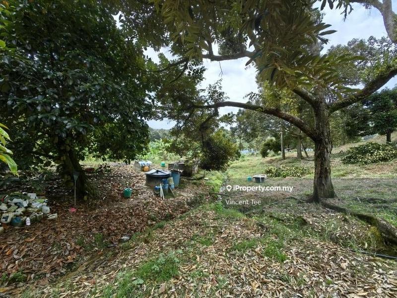 Tanah Pertanian untuk Dijual di Cheroh, Raub oleh Vincent Tee - iProperty.com.my