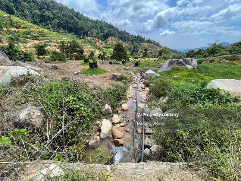 Agricultural Land for Sale in Karak, Bentong by Damon Wong - iProperty.com.my