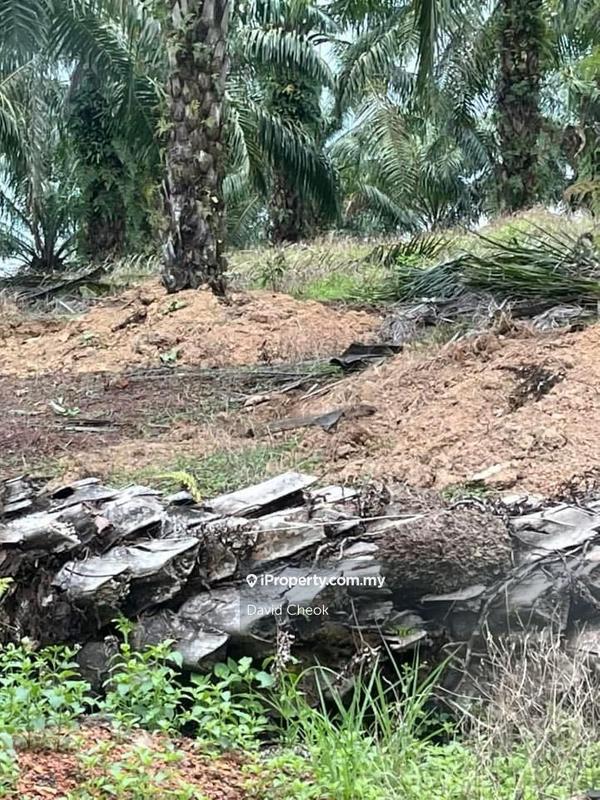 Tanah Pertanian untuk Dijual di Kuala Sawah, Rantau oleh David Cheok - iProperty.com.my