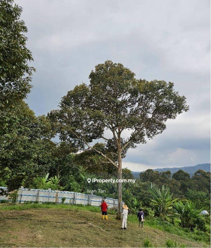 Tanah Pertanian untuk Dijual di Kampung Sungai Makau, Hulu Langat oleh Ivan Tan - iProperty.com.my