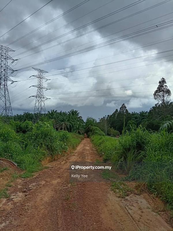 Agricultural Land for Sale in Palm Oil Plantation Along Jalan Kulim - Baling, Kulim by Kelly Yee - iProperty.com.my