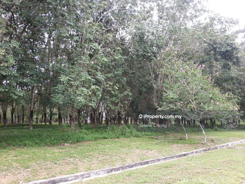 Bungalow Land for Sale in College Heights Garden Resort, Setul by Selene Chong - iProperty.com.my