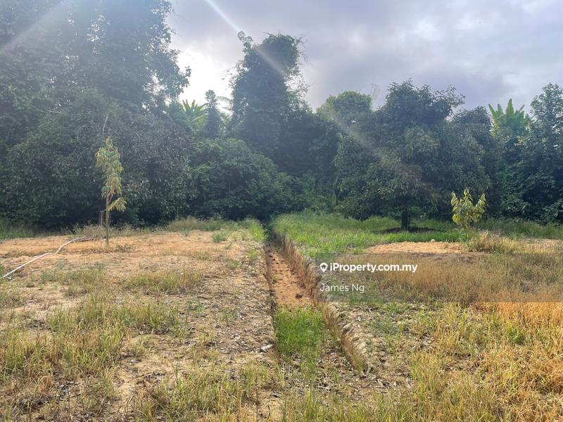 Agricultural Land for Sale in Karak,Pahang, Kuantan by James Ng - iProperty.com.my