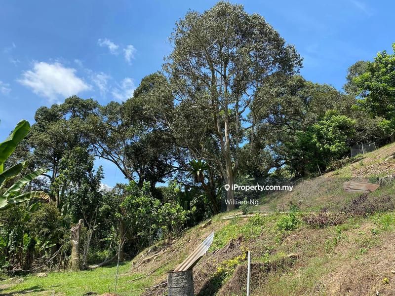 Agricultural Land for Sale in Taman Jelebu, Kuala Klawang by William Ng - iProperty.com.my