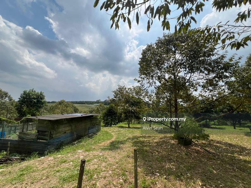 Tanah Pertanian untuk Dijual di Senai, Johor oleh Alvin Seah - iProperty.com.my