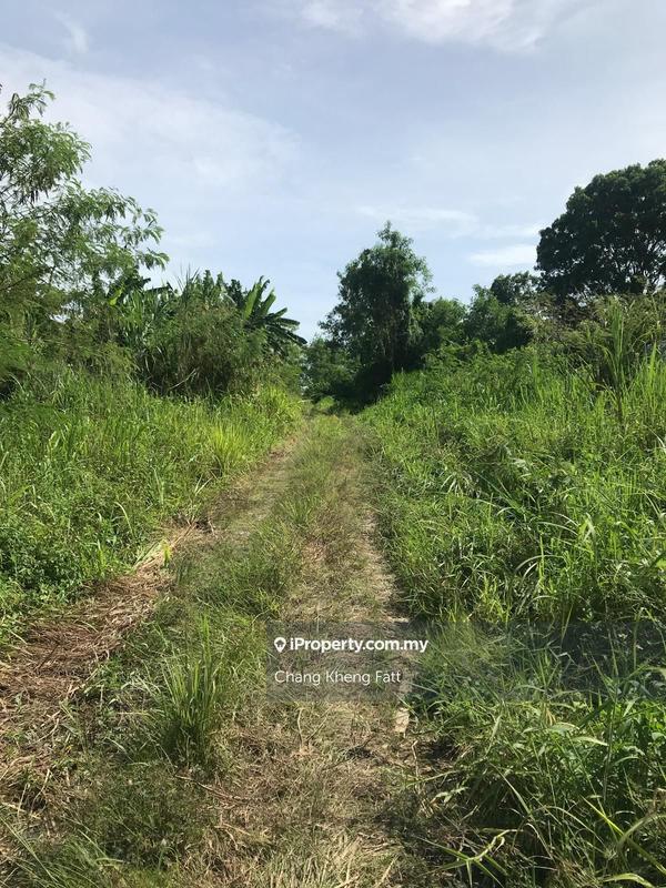 Agricultural Land for Sale in Johan Setia, Klang by Chang Kheng Fatt - iProperty.com.my