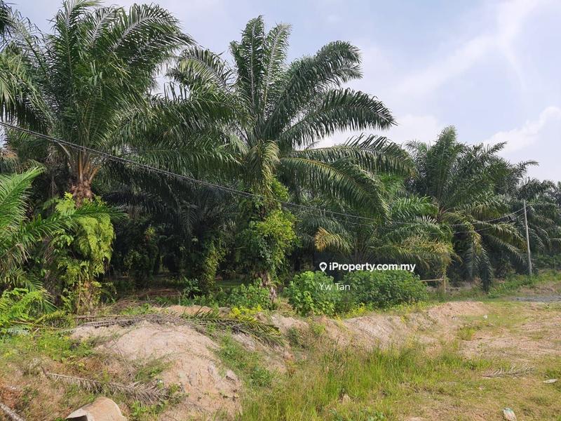 Agricultural Land for Sale in Kota Warisan, Sepang by Yw Tan - iProperty.com.my