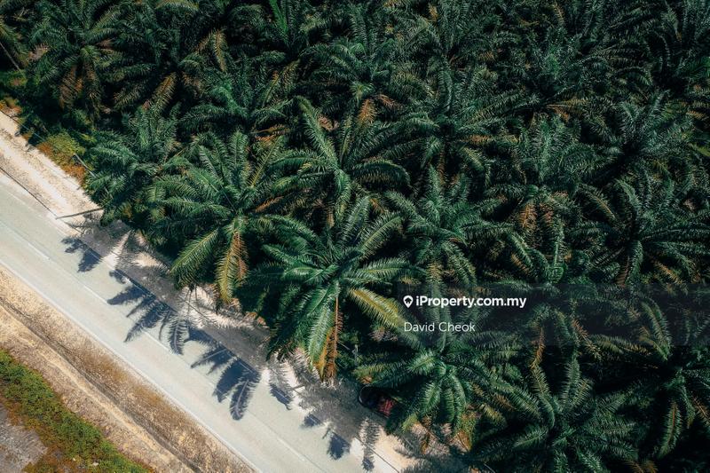 Tanah Pertanian untuk Dijual di Rantau, Negeri Sembilan oleh David Cheok - iProperty.com.my