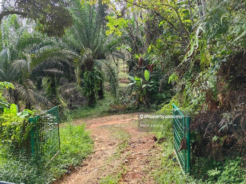Agricultural Land for Sale in Karak, Pahang by Irene Leong - iProperty.com.my