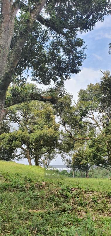 Tanah Pertanian untuk Dijual di Nilai, Negeri Sembilan oleh Sheila Ong - iProperty.com.my