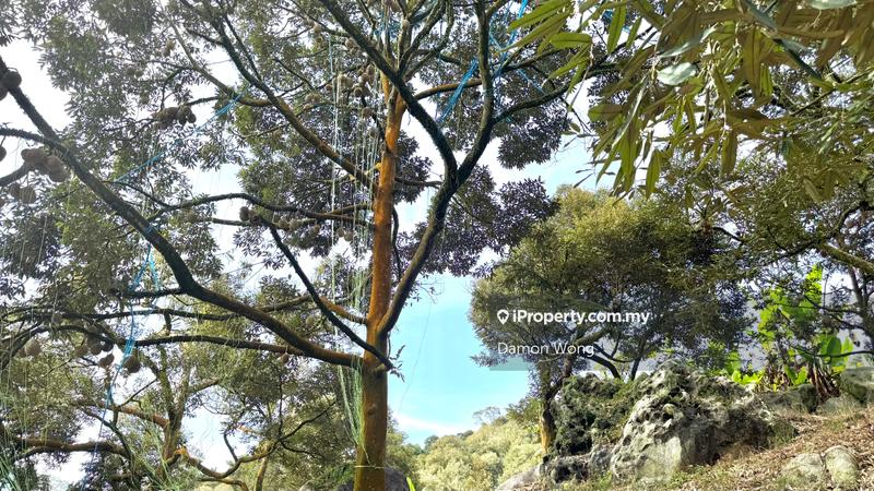 Tanah Pertanian untuk Dijual di Sungai Klau, Raub oleh Damon Wong - iProperty.com.my